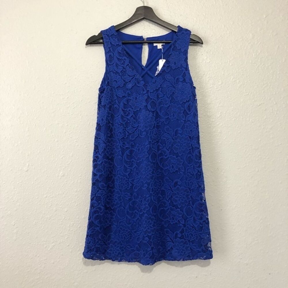 Charming Charlie Lace Mini Dress